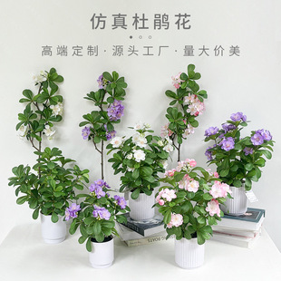 ������N���ٻ��͏d�[������ӳɽ�t���ϻ��ѻ�c�b�ֲ���P�ɻ�