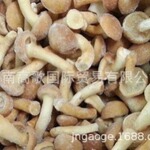 厂家常年供应速冻滑子菇 slider mushroom  欢迎选购