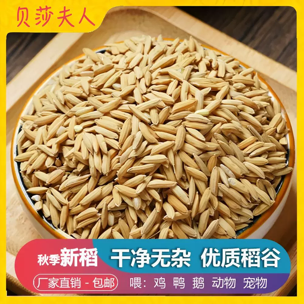 稻谷农家天然喂鸡饲料50斤小鸡芦丁鸡小鸟鹦鹉喂食谷子稻子批发