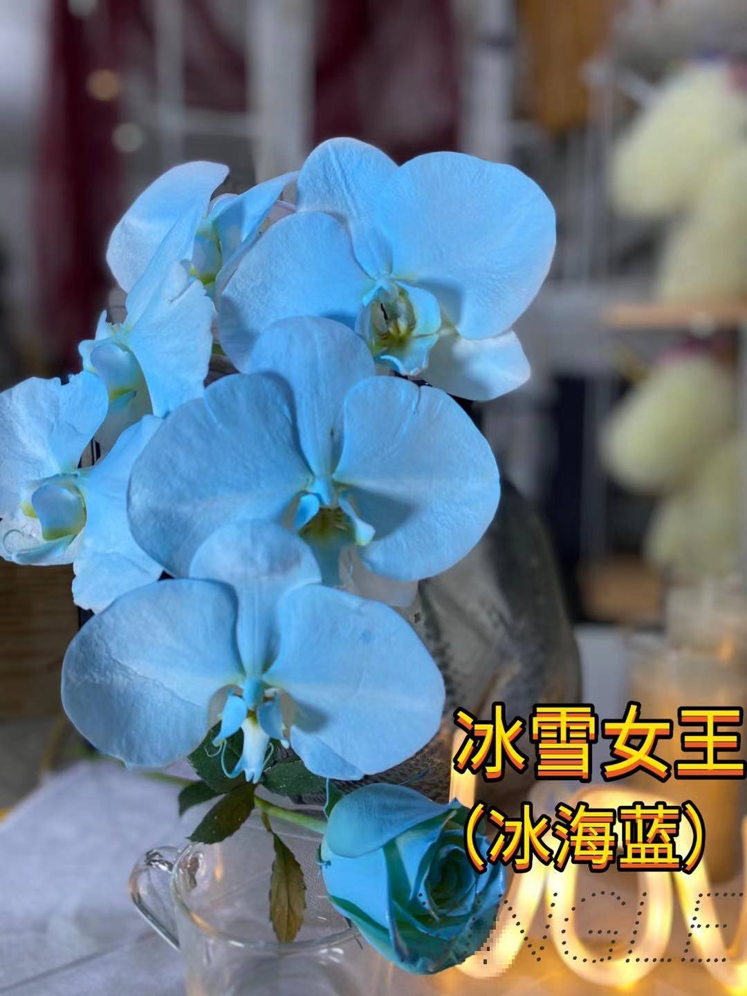 아이스 씨 블루(얼음과 눈의 여왕)