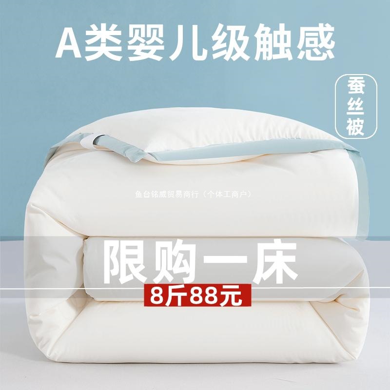 Tongxiang Silk Quilt 100% Mulberry Silk Spring and Autumn Quilt Core Thickened Warm Cotton Quilt Winter Quilt Summer Cooling Quilt Air Conditioning Quilt