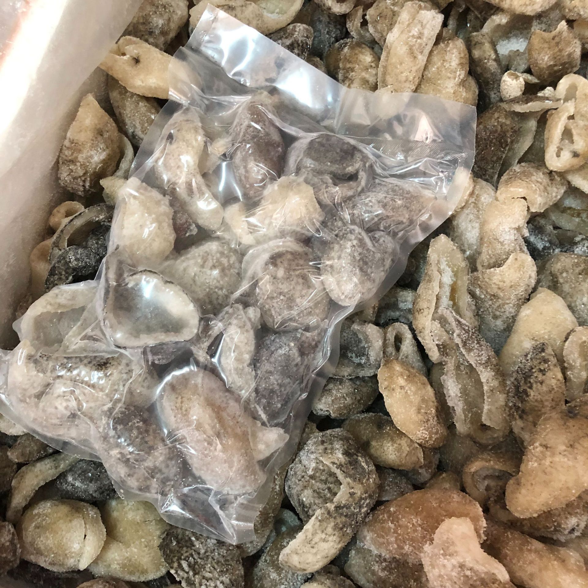 批发 大连即食球参 海参 刺参小辽参非干货海参大连即食海参代发-阿里巴巴