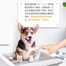 �����յ����ű㶨λ �����С�� è��ѵ��������������ȫ������GL