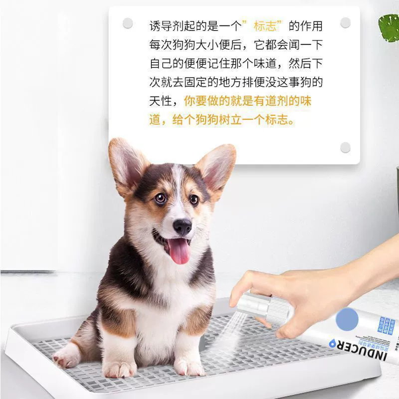 Индуктор дефекации для собак, позиционирование дефекации и мочеиспускания в фиксированной точке, руководство по дрессировке кошек, руководство по дефекации в туалете, полная сеть