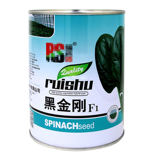 �ڽ������˷N�� �r��ˈ@�������ͳ�̦�~��G�ʺ񲤲��߲���