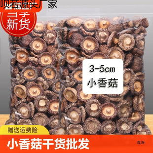 ���㹽��؛���l�a��С�㹽Ģ������Ҝ����r���鹽���X��