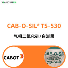 CAB-O-SIL TS-530 ^׻赪̎  ̿ 