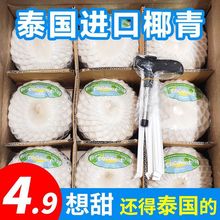【正宗泰國貨】泰國進口新鮮椰青椰子9個批發價一整箱孕婦水果