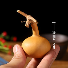 ��ȻС�������^��������С���J�����S�������͆ζǺ��J�[��