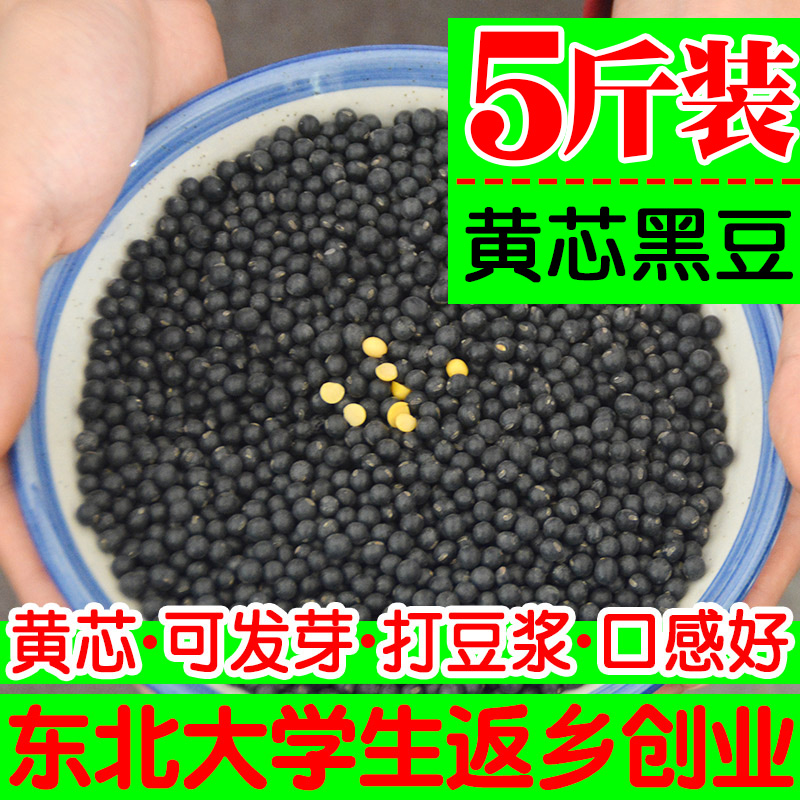 东北小黑豆5斤新豆黄芯心农家自产五谷杂粮发豆芽打豆浆豆子