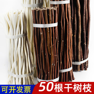 Dried branches diy kindergarten handmade materials Children's small ornaments wooden section dried branches landscape log section decorative trunk