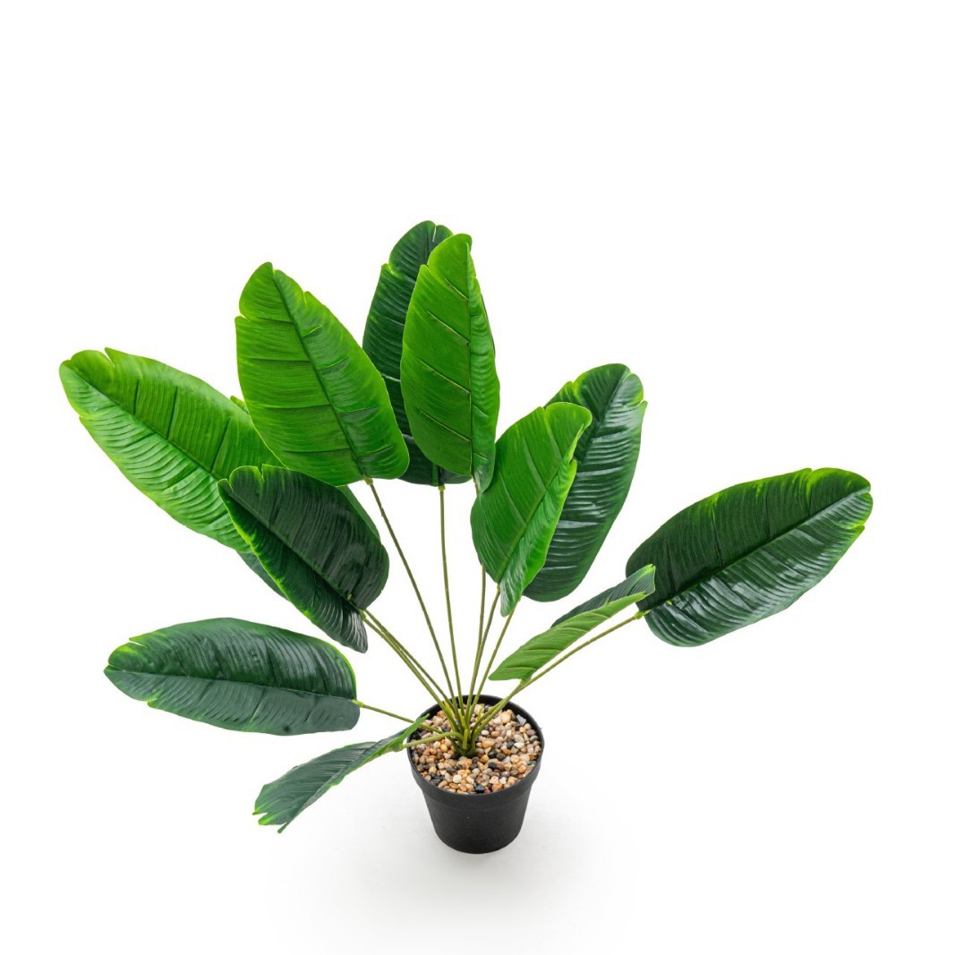 Simulación de plantas de plantación de hojas verdes de banana del norte de Europa plantación de árboles falsos paisajísticos transfronterizos