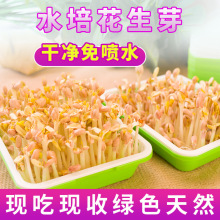 ����ѿ��������Pˮ��ѿ��˱P���÷Nֲ�o�����໨���茣�ðlѿ��