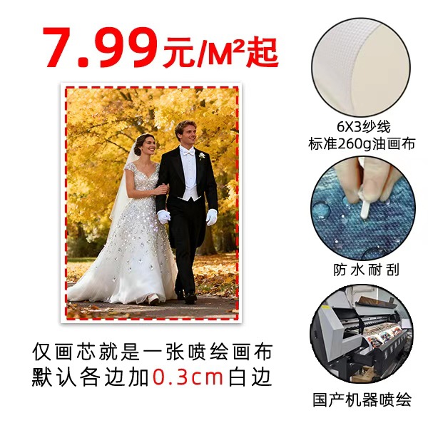 跨境工厂直供装饰画挂画宠物肖像定制帆布画油画布画芯喷绘大尺寸