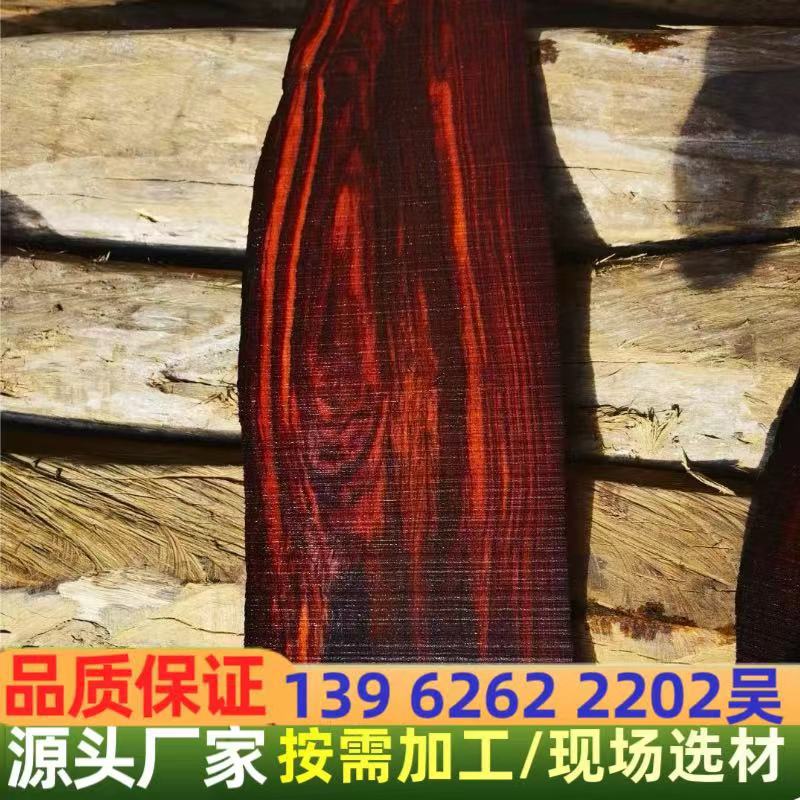 微信图片_20240326165149