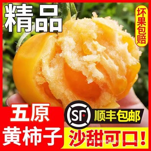 ���ɹ���ԭ���r�S����ɳȿ��Ȼ��Fժ�Sɫ���t��ˮ�������߲�����