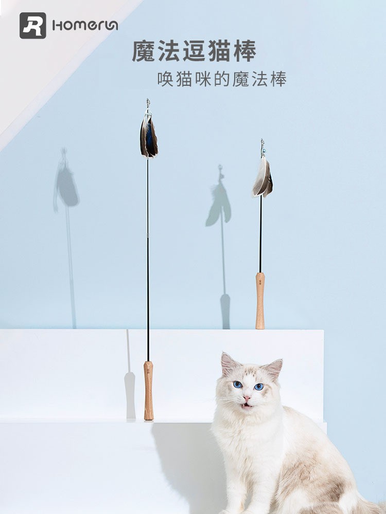 Кошка Хоманна