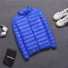 888 sapphire blue [stand collar]