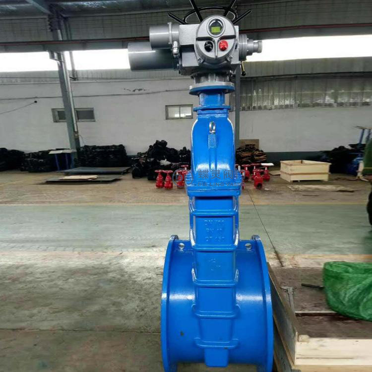 dn250电动法兰暗杆闸阀Z945X-16Q污水弹性座封软密封闸阀