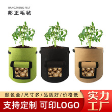 ë�������NֲͰ�A�ΠI�B��ֲ���������L���߲��R���������ë��