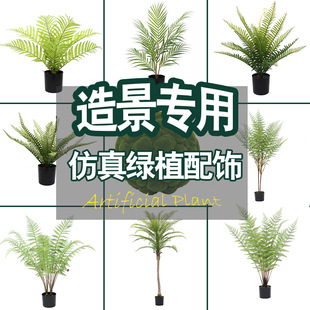 ����̦�\���^ܛ�b��˹ާ����С�ͷ���Gֲ���ާ[���쾰����