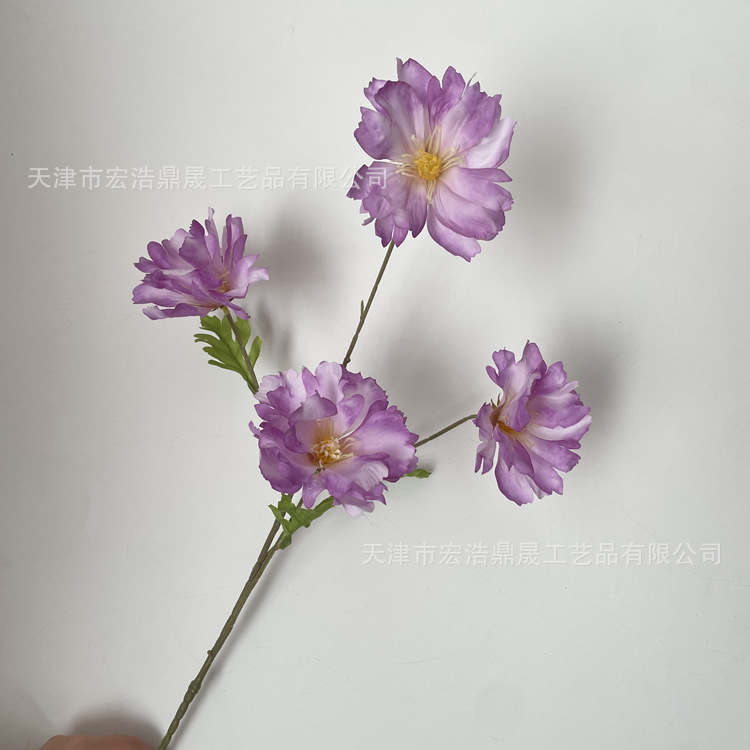 微信图片_202211251406196_副本