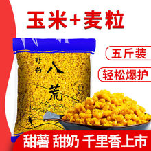 ��������������~�D���s�Z�~�D�C��Ұ��a�~���~ǧ���������C��