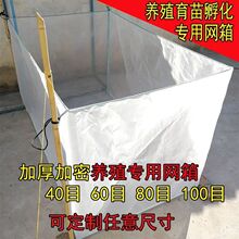 养鱼蚯蚓养殖网专用加厚100目水蛭水花鱼苗黄鳝锦鲤孵化育苗网箱