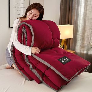 Arctic Fleece Quilt Winter Thickened Warm Quilt Core Washed Quilt Double Winter Student Dormitory Single Spring Zhizhe