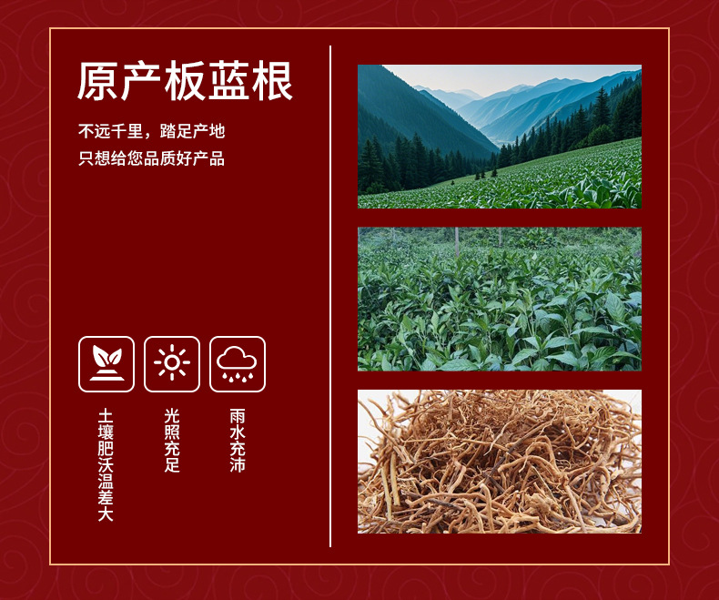 Ban Lan Gen Powder Isatis Root 500g Traditional Chinese Herbal Powder for Decoction and Tea key features
