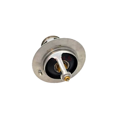 9091603117, Thermostat