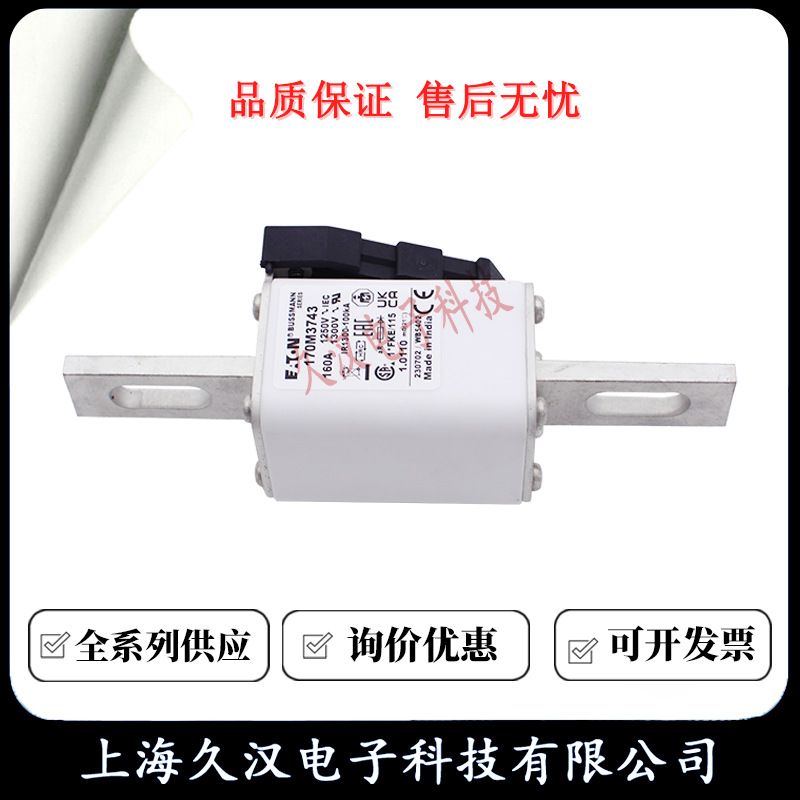 170M3743 170M3744 170M3745 170M3746 170M3747 BUSSMANN 熔断器