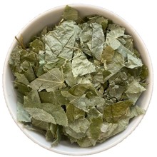 ޽ șl޽~ݾϴȫҎRȫɃosă