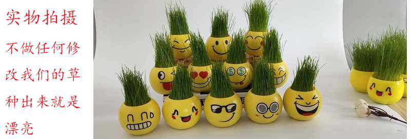 16852985273_893837345