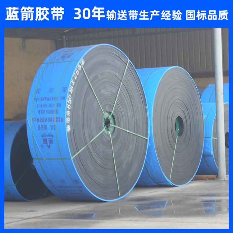 河北蓝箭厂家供应1米宽混凝土搅拌站皮带 1000*4P橡胶环形输送带