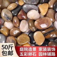 ·껨ʯɫСʯ^ͥԺ50쾰ԭʯZʯ̨~Ȼ