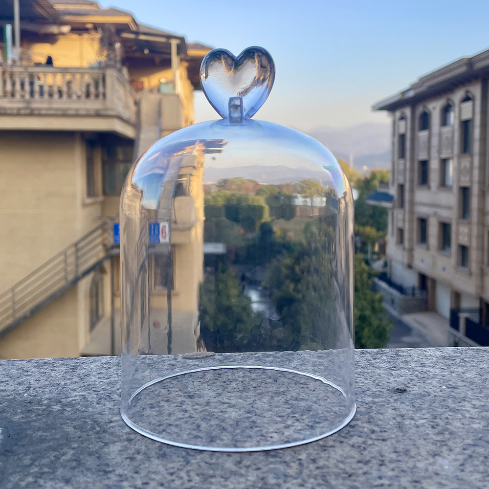 Flor inmortal cubierta de vidrio cubierta de acrílico cubierta de plástico transparente semicircular flor seca base a prueba de polvo con lámpara DIY material