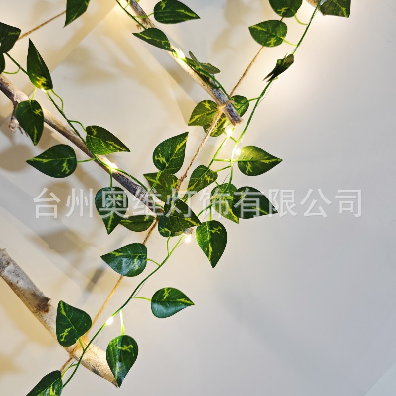 微信图片_20250818215303
