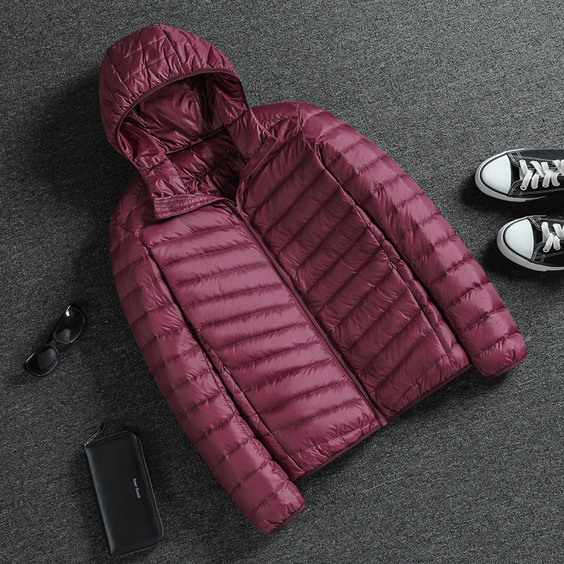 Herrenbekleidung Leichte Jacke aus Seide und Baumwolle für Herren 2023 Winter neue leichte weiße Entenseide-Baumwoll-Stehkragenjacke mit Kapuze, kurze warme Freizeitjacke_voghion.com