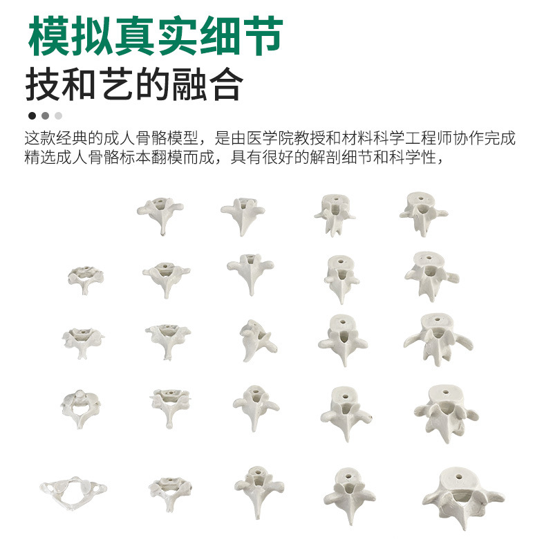 170CMɢ��ģ�ͼ��ι��Ź��ع��߹ǳ߹�����Ź��Ĺ��ƹ�����ֹ�