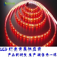 LED5050灯带 60灯24V 高显 高亮 防水 户外工程 低压 厂家直营