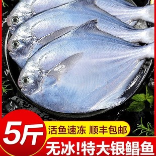 ���r�y�K�~���K�~������rˮ�a���~С�K�~���~ƽ�~�K�c�~���~