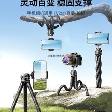 ��צ�~�֙C�Ĕz֧�����_���\�����C���~���Ǽ��ֳ֑��⌣�I��