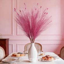 �����JȔ��7�柟��ëë��Y�b[���̈��쾰�ٻ������ȸ�廨