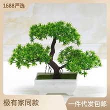 巜厂家直供 迷你三叉迎客松桌摆件小盆栽 花小盆景植物小盆景