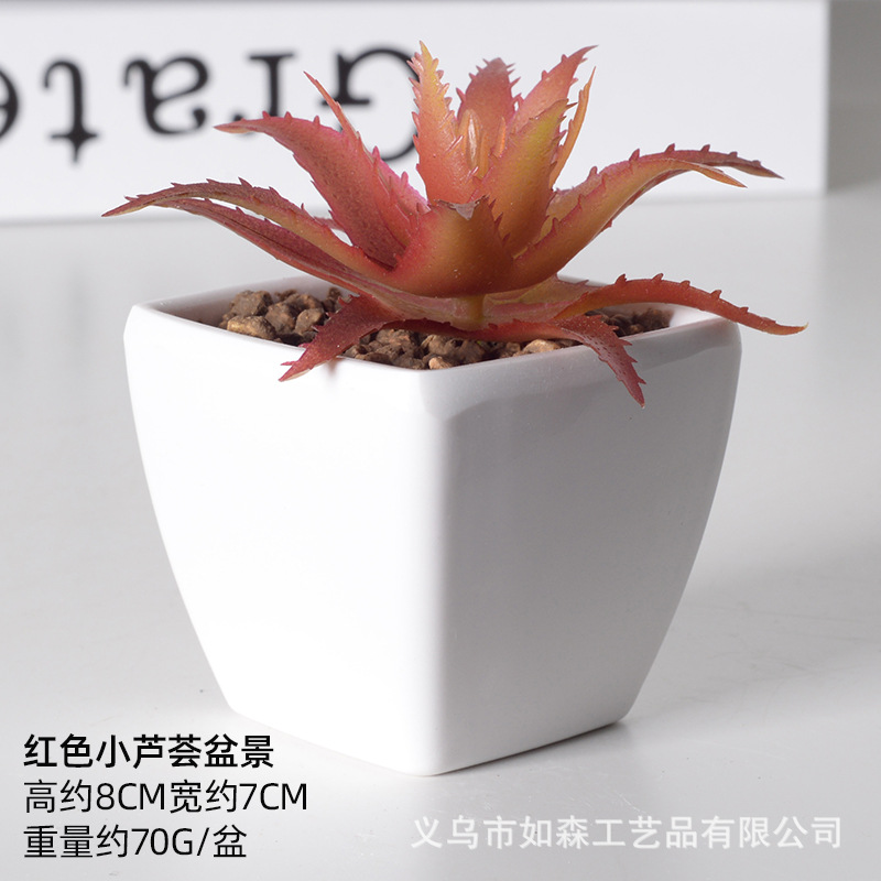 Simulación de plástico carnoso bonsai flor falsa combinación oficina interior escritorio plantas verdes pequeños adornos plantas artificiales al por mayor image 22
