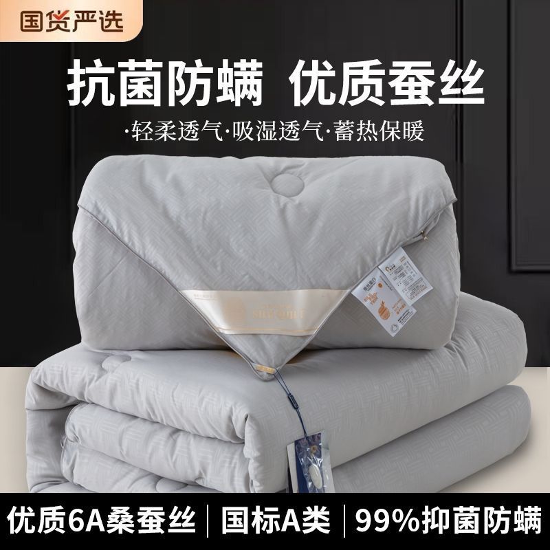 Tongxiang Pure Natural Silk Quilt 100% Mulberry Silk Spring & Fall Quilt Letter Two-In-One Winter Thickeneded Warm Quilt