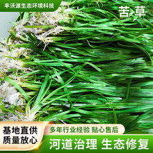 ��ݻ���ˮ���Ѻ�β��˯ɏ�����ܴ̳��G�����ˮ�|���Nֲ��ˮֲ��