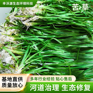 ��ݻ���ˮ���Ѻ�β��˯ɏ�����ܴ̳��G�����ˮ�|���Nֲ��ˮֲ��