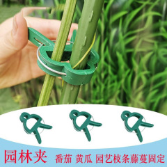 藤の植物の固定クリップの緑色のバックルの大きいサイズのつるの野菜のトマトの花の果物の枝の固定クリップのボタン